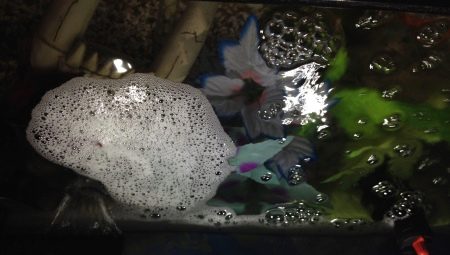 Foam in an aquarium: causes and options for fighting