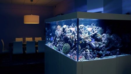 Why can’t aquariums be filled with chilled boiled water?