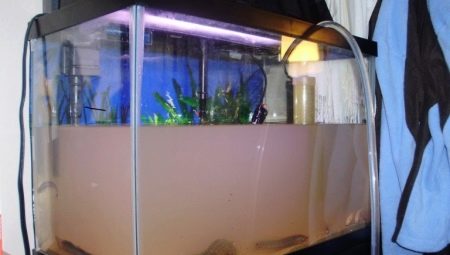 Why did the water get cloudy when starting up the aquarium and what should I do?
