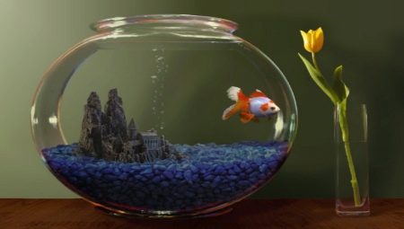 Why does the water get cloudy in the aquarium and what to do about it?