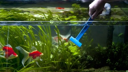 Proper cleaning of the aquarium at home