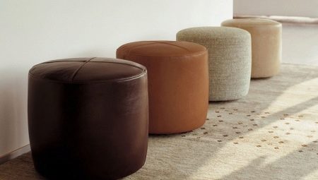 Poof in the hallway: a variety of species and features of choice