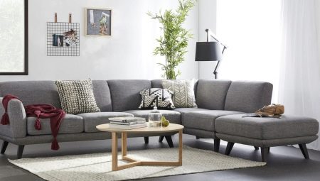 Graues Sofa im Wohnzimmer: Aussicht, was zu kombinieren und wie zu wählen?