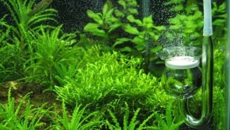 CO2 for an aquarium: description, varieties, selection and manufacture