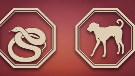 Dog and Snake: male and female compatibility