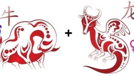 Bull and Dragon Compatibility in Friendship, Work and Love