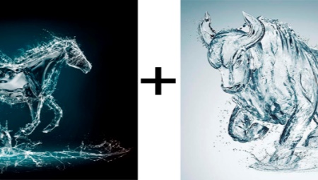 Compatibilitat amb bou i cavall