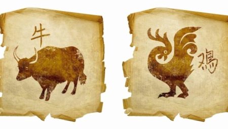 Bull og hane kompatibilitet