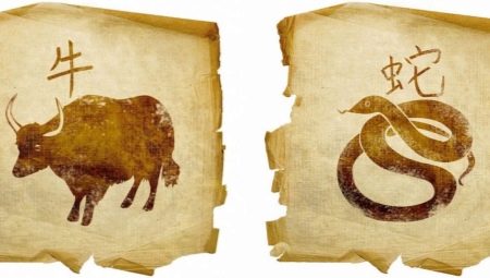 Bull and Snake Compatibility