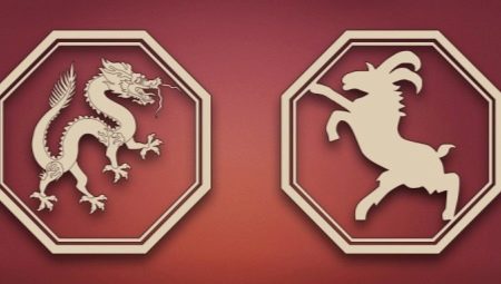 Dragon and Goat compatibility in various areas of life