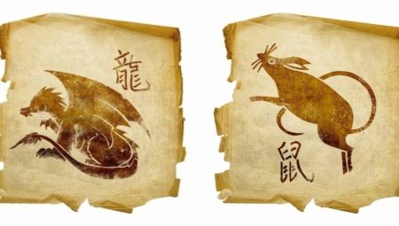 Dragon and Rat compatibility in friendship, work and love