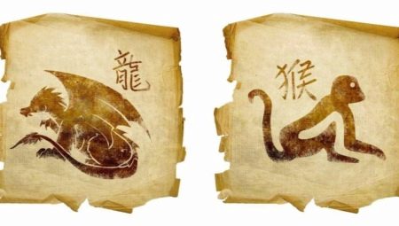 Dragons and Monkeys Compatibility in friendship, work and love