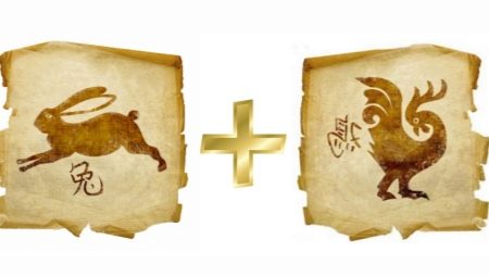 Compatibility of Rabbits and Roosters in friendship, work and love