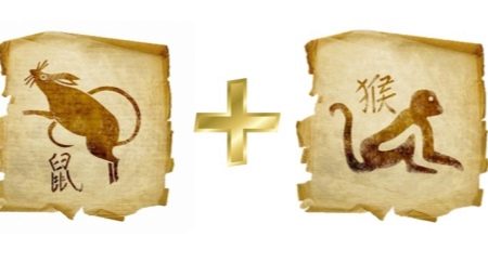 Compatibility of Rats and Monkeys in friendship, work and love