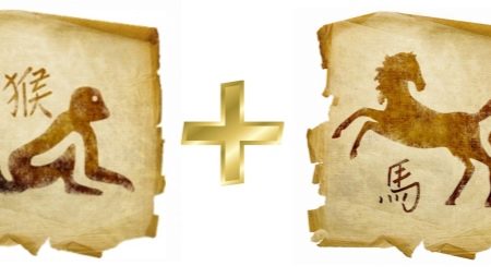 Compatibility of Horses and Monkeys in friendship, work and love