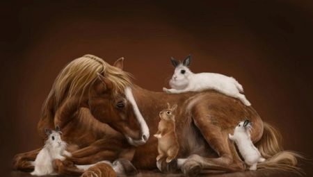 Horse and Rabbit (Cat) Compatibility