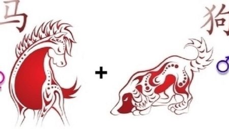 Horse and Dog Compatibility