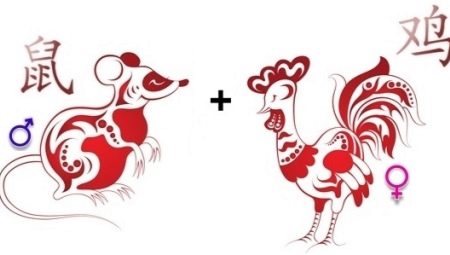 Rooster and Rat compatibility on the Eastern calendar
