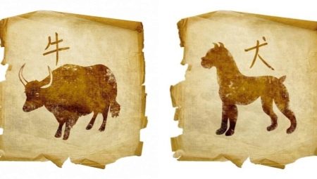 Dog and Bull Compatibility