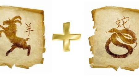 Snake and Goat Compatibility