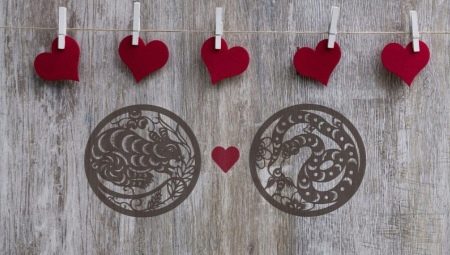 Snake and Rat Compatibility