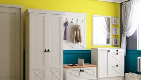 Kursi di dewan: ciri-ciri model dan ciri-ciri pilihan