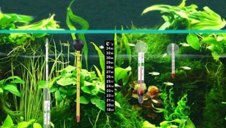Thermometers for an aquarium: what are and how to choose?