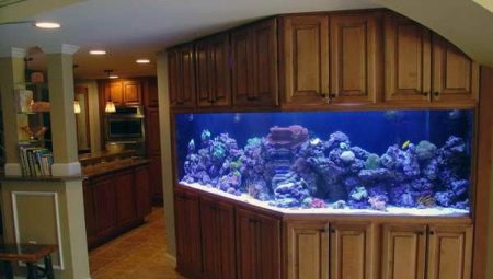 Corner aquariums: varieties, selection, arrangement, settlement