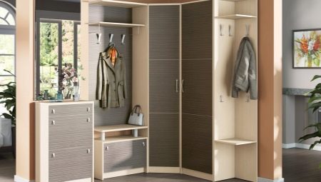 Narrow wardrobes in the hallway: types, sizes and choices