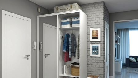 Narrow wardrobe in the hallway: types, selection and placement
