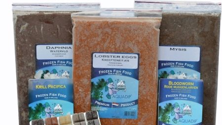 Frozen food for aquarium fish: types and rules of feeding