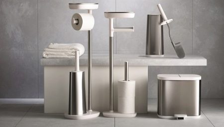 Toilet accessories: types and choices