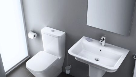 Rimless floor toilets: design, pros and cons, choice