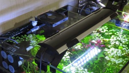 How and how to cool the water in the aquarium?