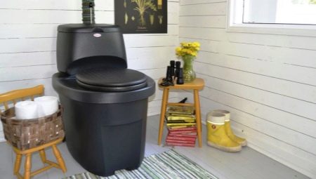 Country toilet: how to choose and properly care?