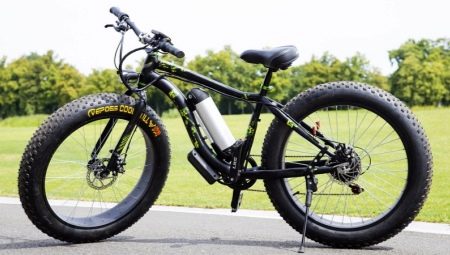 What is a fat bike intended for and how to choose it?