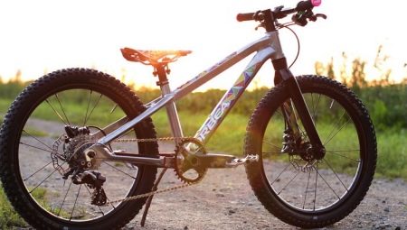 Electric bike: features, the best models and selection tips