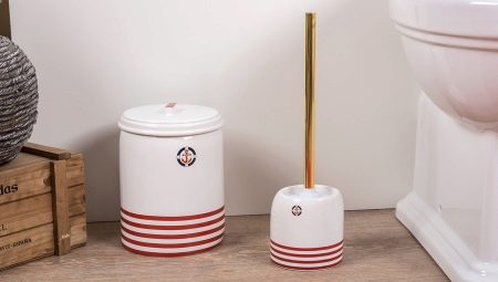 Toilet brushes: varieties, selection and storage
