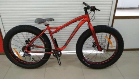 Stels Fatbikes: Consells sobre la revisió i selecció de models