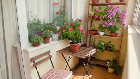 How to use flowers to decorate a balcony and loggia?