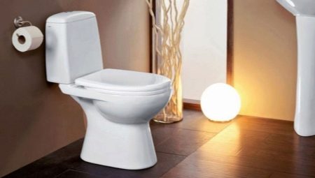 Varieties of toilets