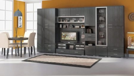 Cabinet furniture for the living room: a review of varieties and selection tips