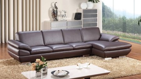 Leather sofas in the living room interior