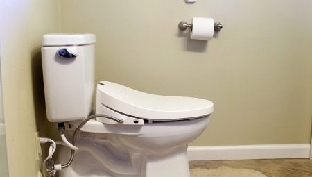Toilet bidet cover: varieties, brands, selection and installation