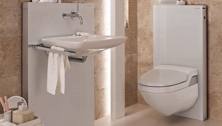 Small toilets: what are and how to choose?