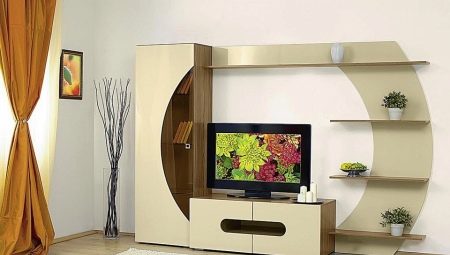 Mini-walls in the living room: what are and how to choose?