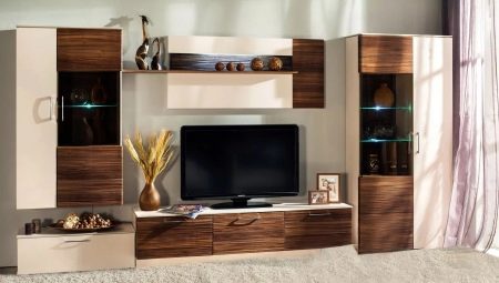 Modular walls in the living room: types and choices