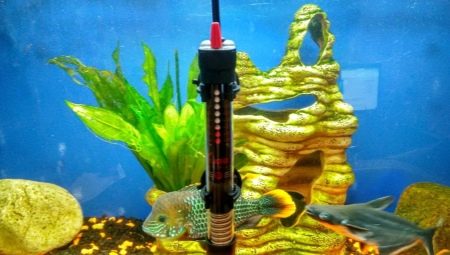 Aquarium heaters: varieties, selection, installation and use