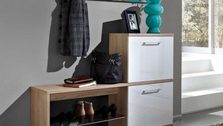 Shoe boxes in the hallway: types, choices and options in the interior