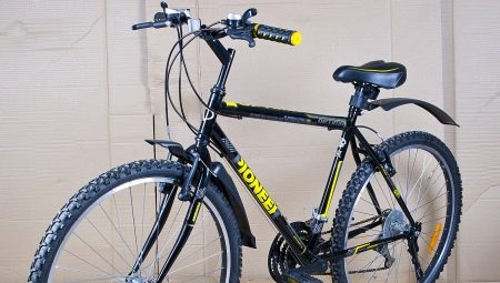 Pioneer Bicycle Review